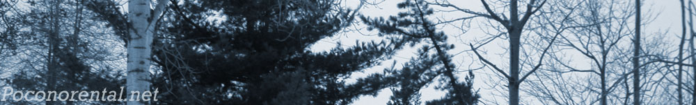 treebanner